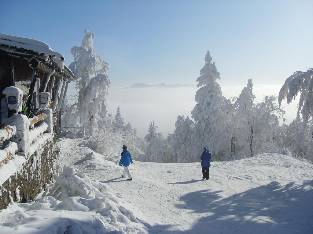Pension Vseruby Экстерьер фото